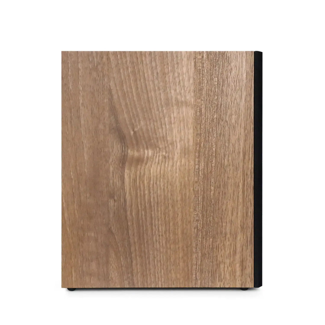 AngelsHornWireless Bluetooth Bookshelf Speakers: Angels Horn H268 Review